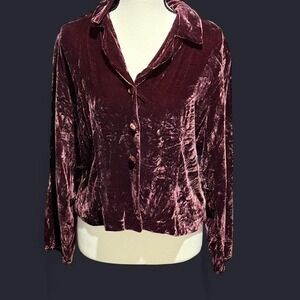 T.T. Mar Maroon Crushed Velvet Button Up 90s Inspired Crop‎ Whimsigoth
